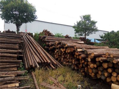 宣城市郎溪縣新發鎮木材加工廠