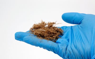 植物纖維毯等加工設(shè)備廠