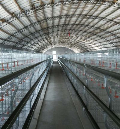 萊州市裕偉畜牧機(jī)械有限公司