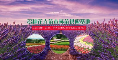 青州市子怡花卉苗木園藝場(chǎng)