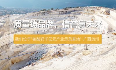 賀州市新華發粉體有限公司