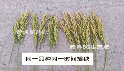 內蒙古垚墾生態(tài)農業(yè)科技有限公司