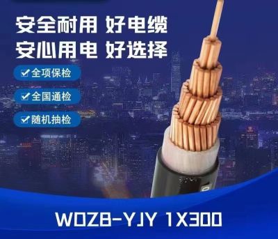 廣東中業(yè)國際電纜有限公司